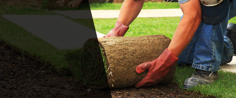 Muskegon Landscapers